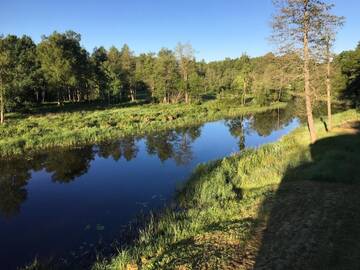 Фото номера Дом для отпуска Дома для отпуска Suislepa Puhkekeskus г. Suislepa 19