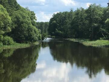Фото номера Дом для отпуска Дома для отпуска Suislepa Puhkekeskus г. Suislepa 17