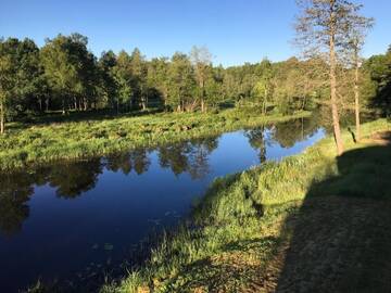 Фото номера Дом для отпуска Дома для отпуска Suislepa Puhkekeskus г. Suislepa 63